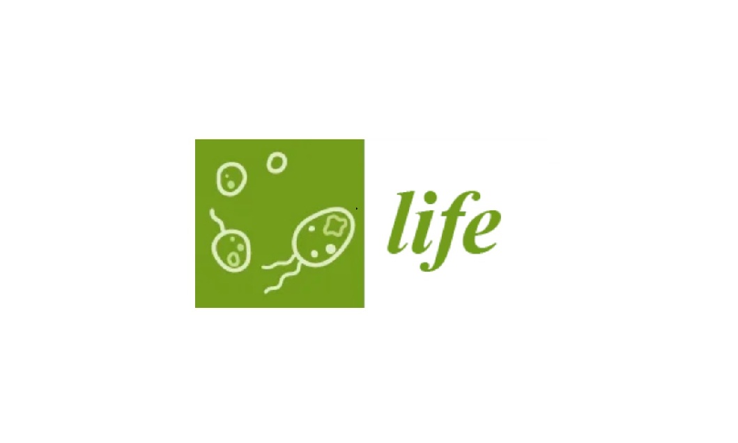 Life Journal logo Life Journal logo