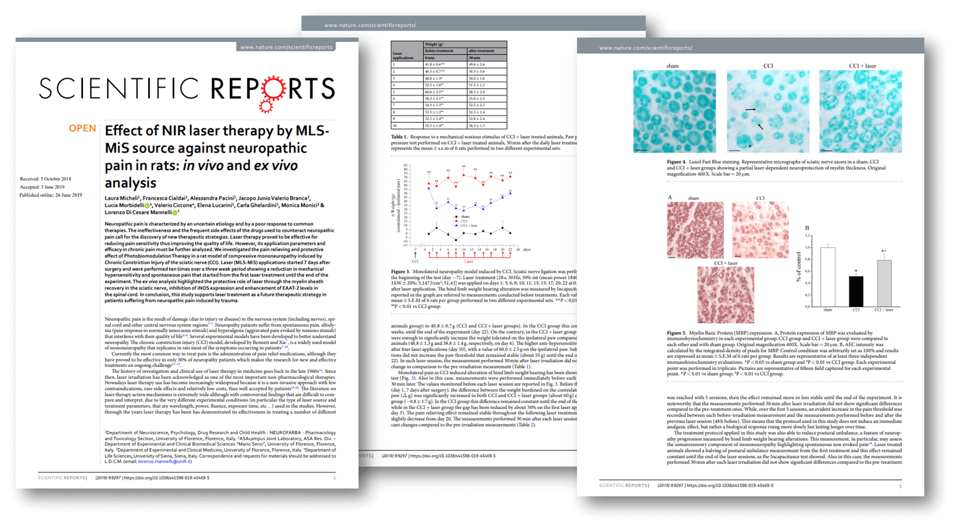 Nature Scientifc Reports - MiS research