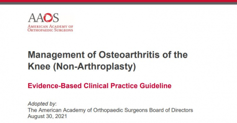 AAOS practice guideline knee osteoarthritis