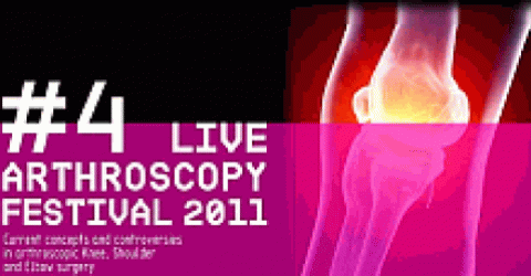 4th Arthroscopy Festival - Portorose, Slovenia
